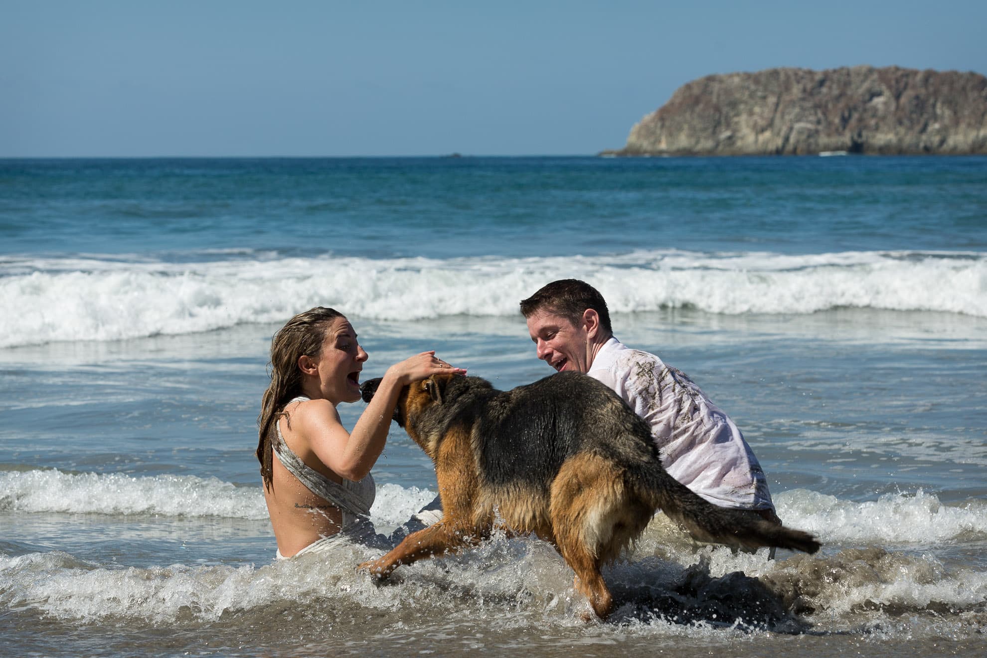 trash the dress with a German Shepard