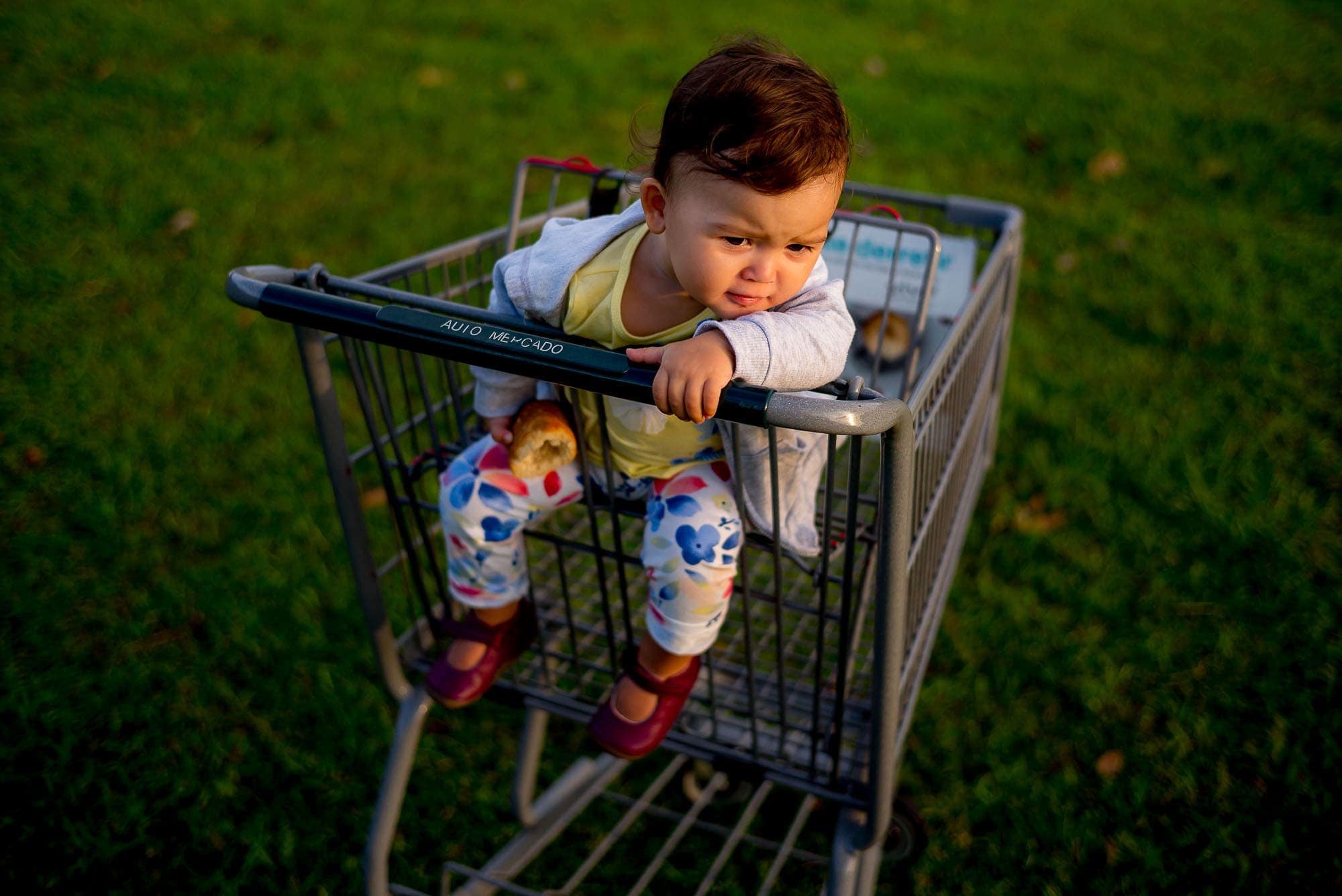 baby on supermarket carriage