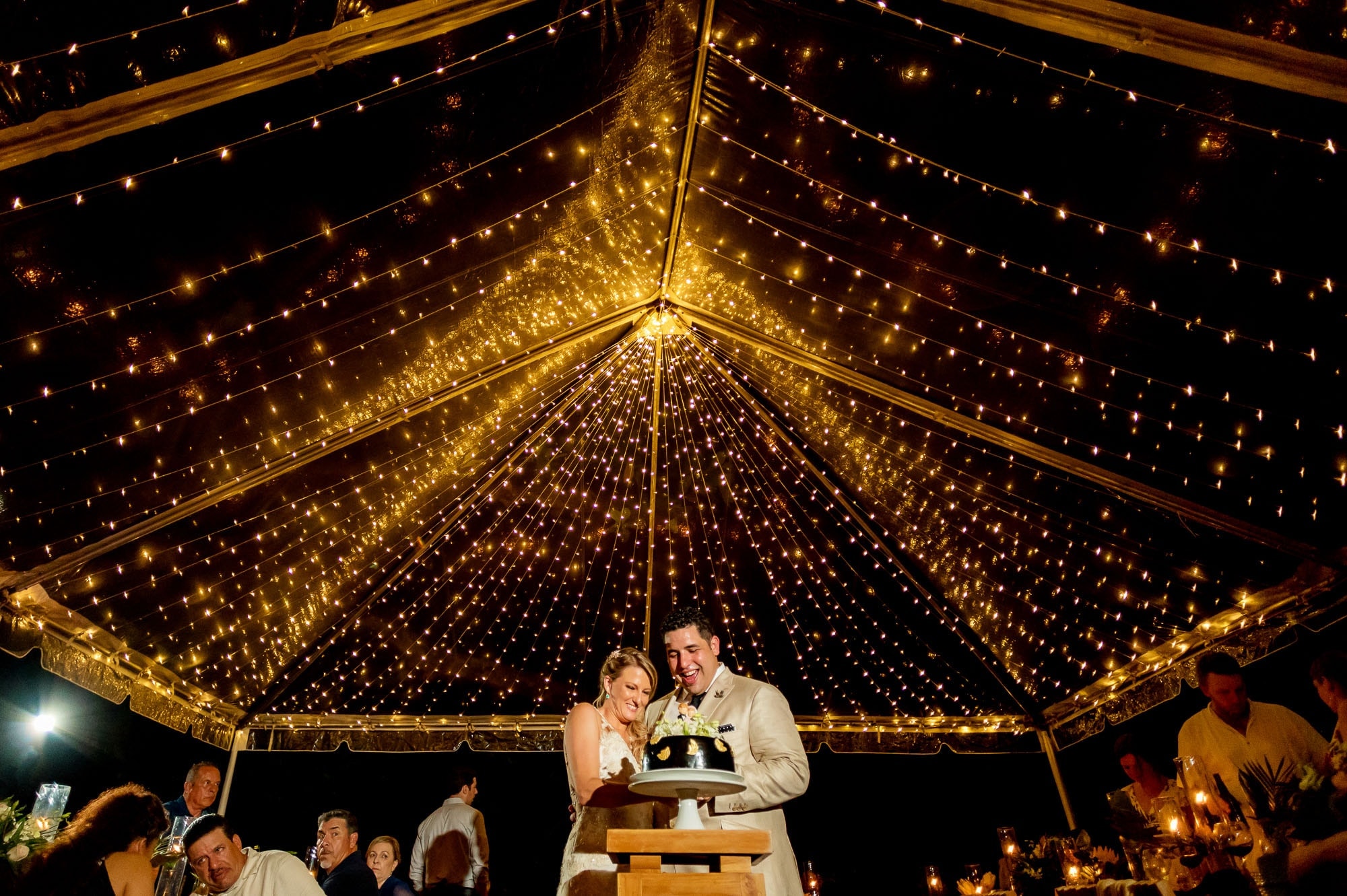 tent with lights at wedding