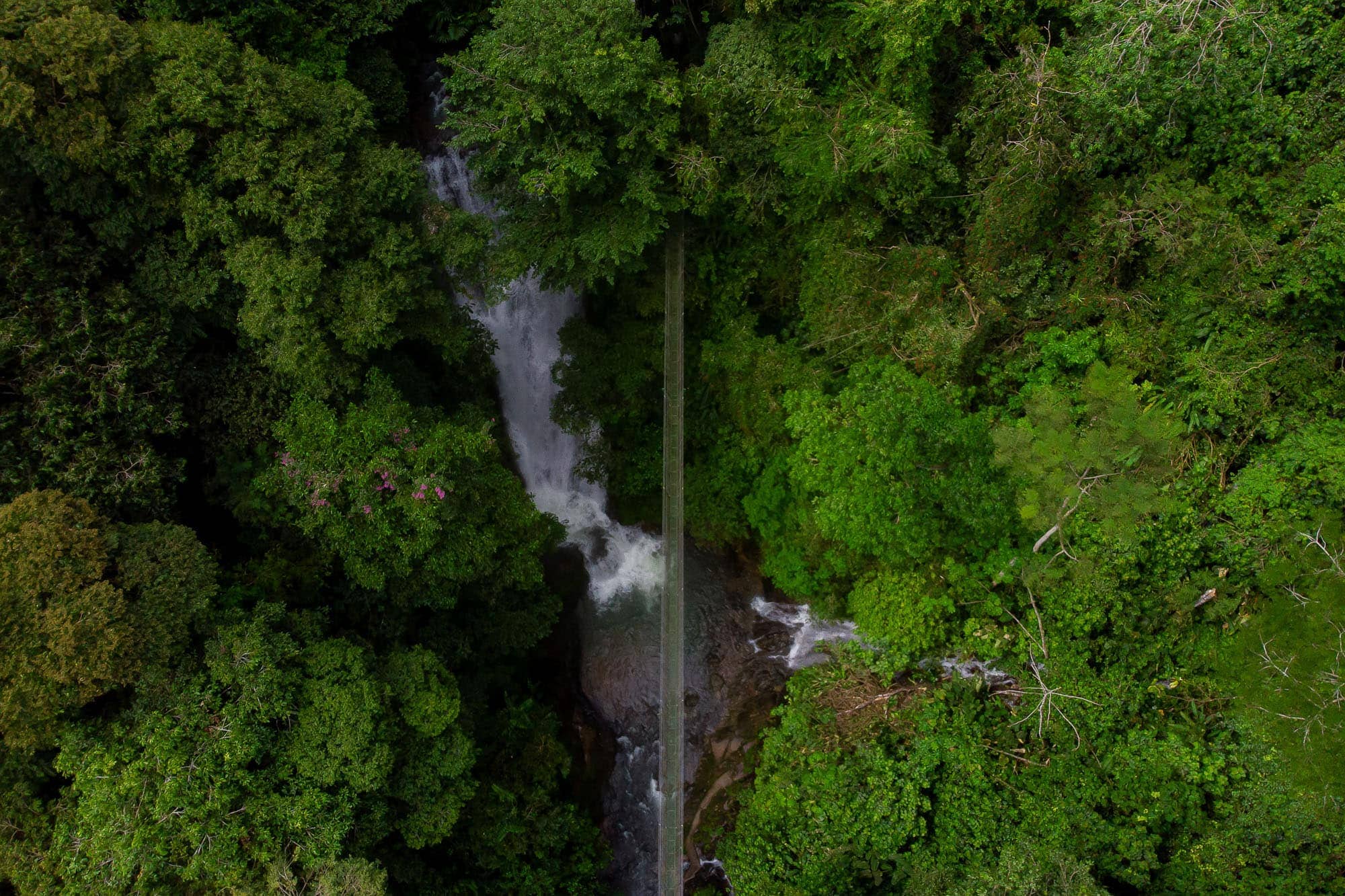 Aerial drone shot over the waterfall and hanging bridge