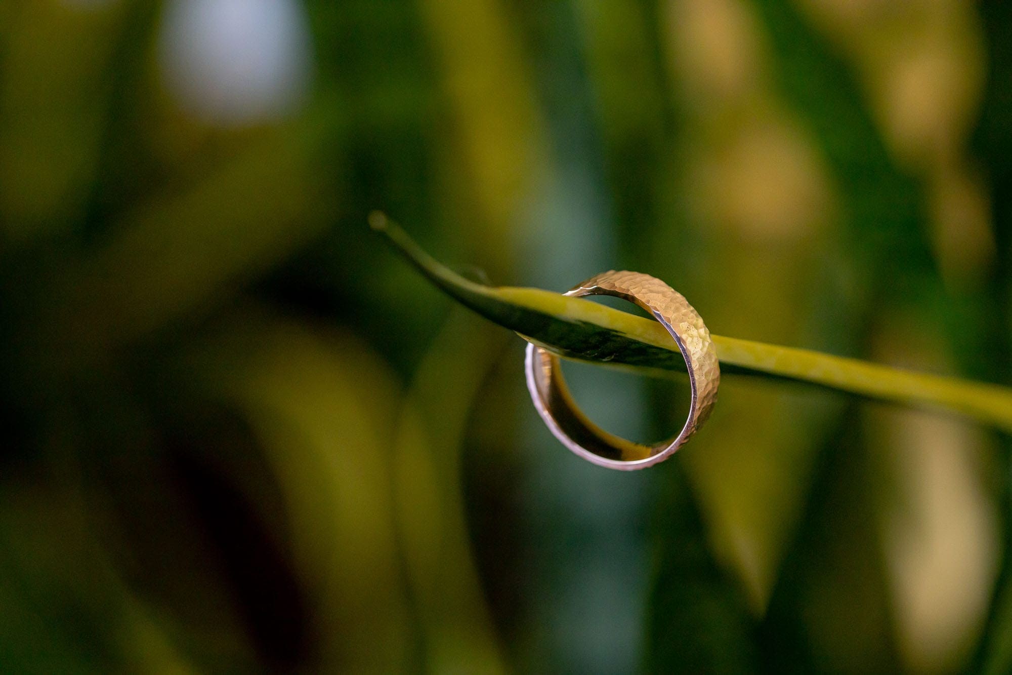 closeup of a wedding ring
